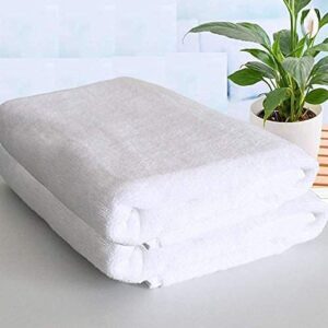 Home Plus Studio Stripes Soft Cotton  Bath Towel Pack of 2